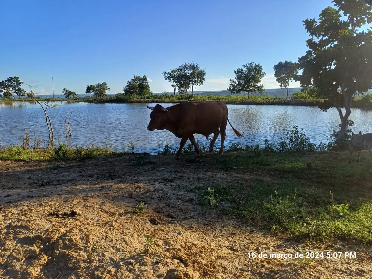 Fazenda à venda de 376 ha em Salinas, MG, Brasil