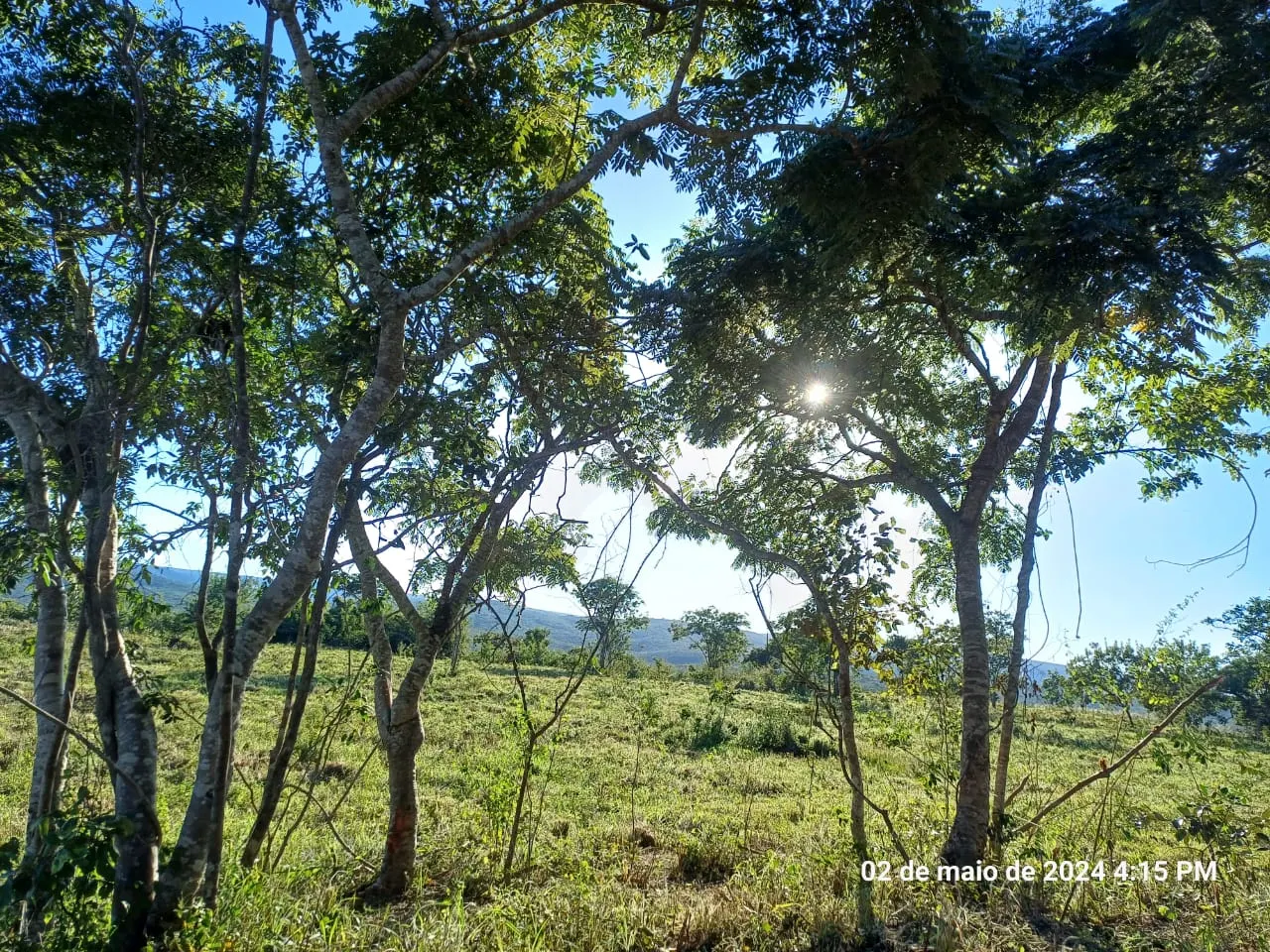 Fazenda à venda de 376 ha em Salinas, MG, Brasil
