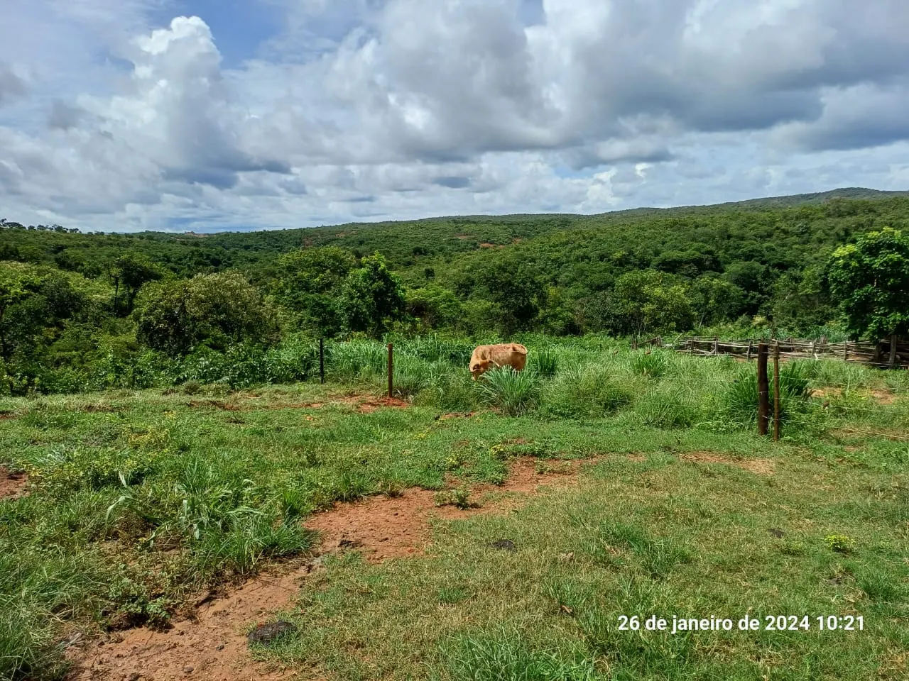 Fazenda à venda de 376 ha em Salinas, MG, Brasil