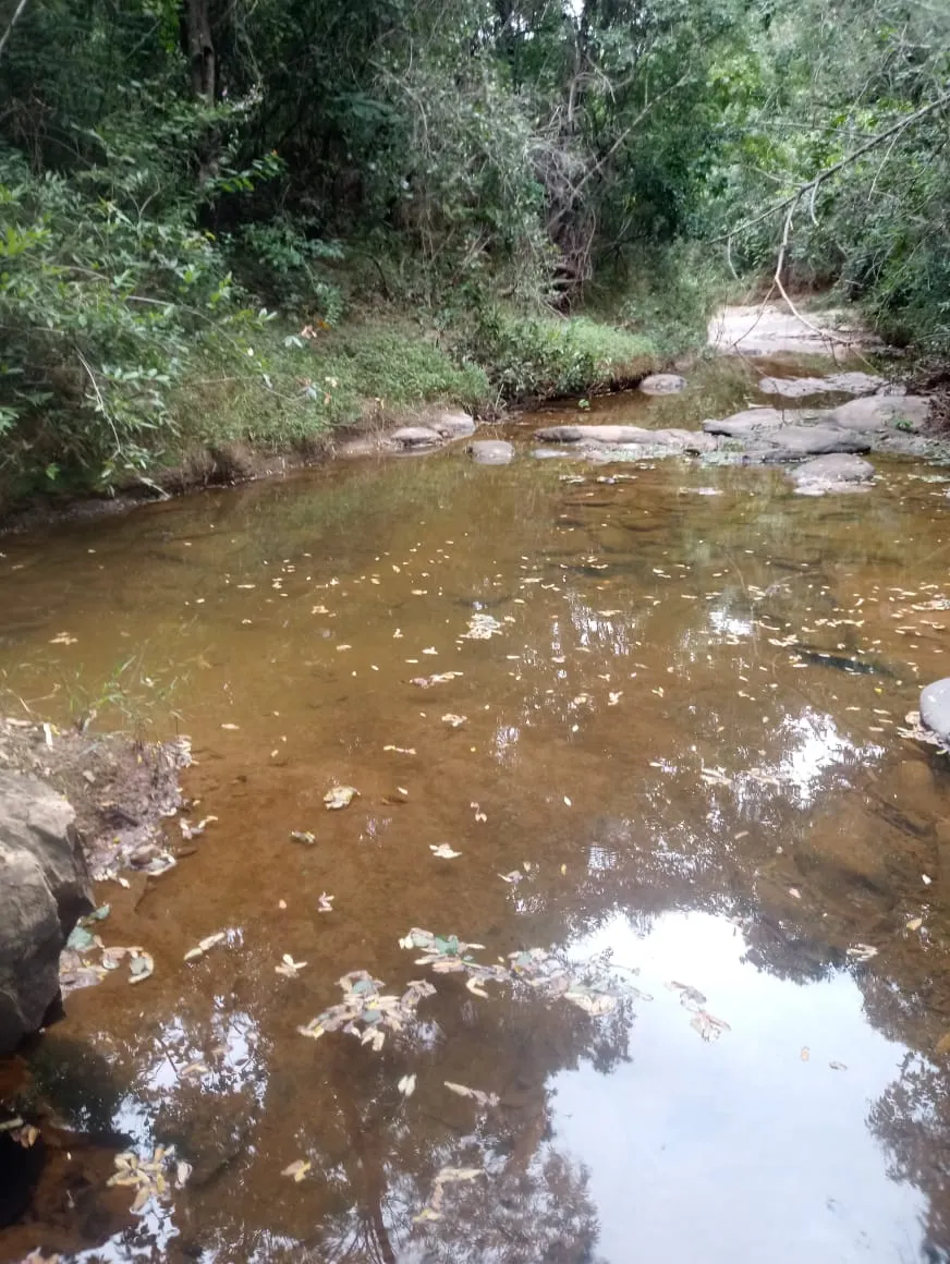 Fazenda à venda de 376 ha em Salinas, MG, Brasil