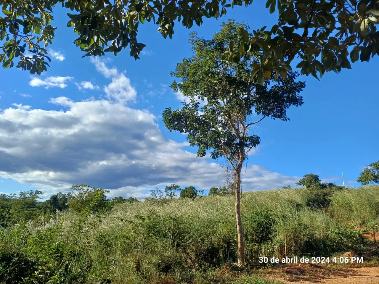 Fazenda à venda de 376 ha em Salinas, MG, Brasil