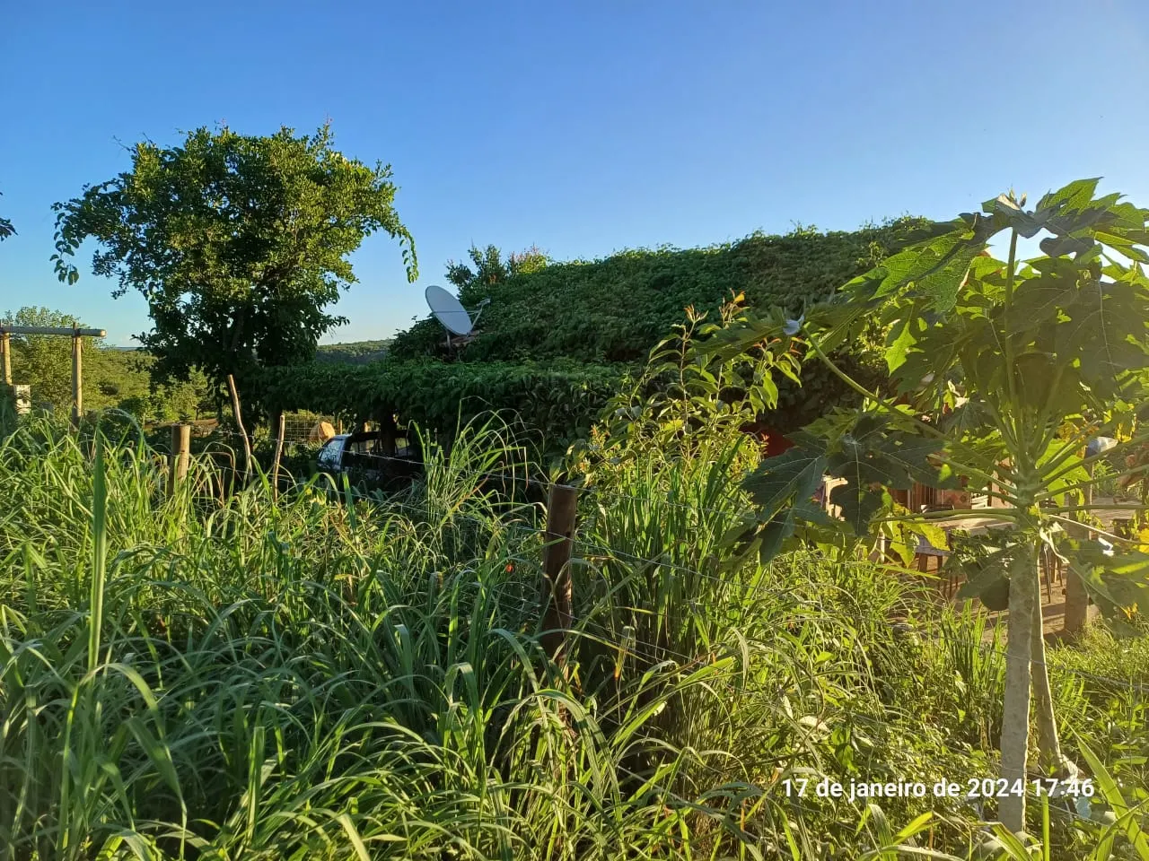 Fazenda à venda de 376 ha em Salinas, MG, Brasil