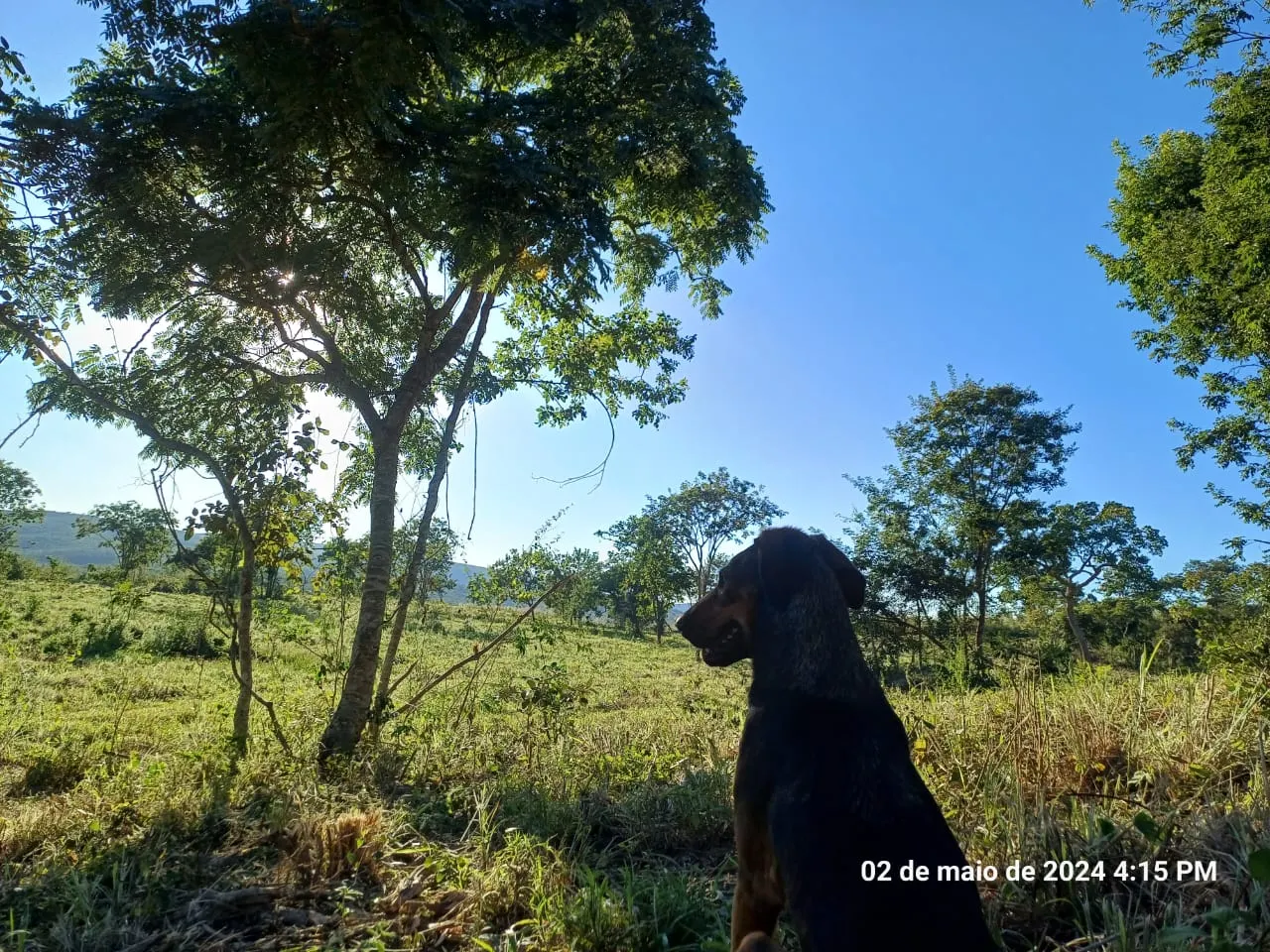 Fazenda à venda de 376 ha em Salinas, MG, Brasil