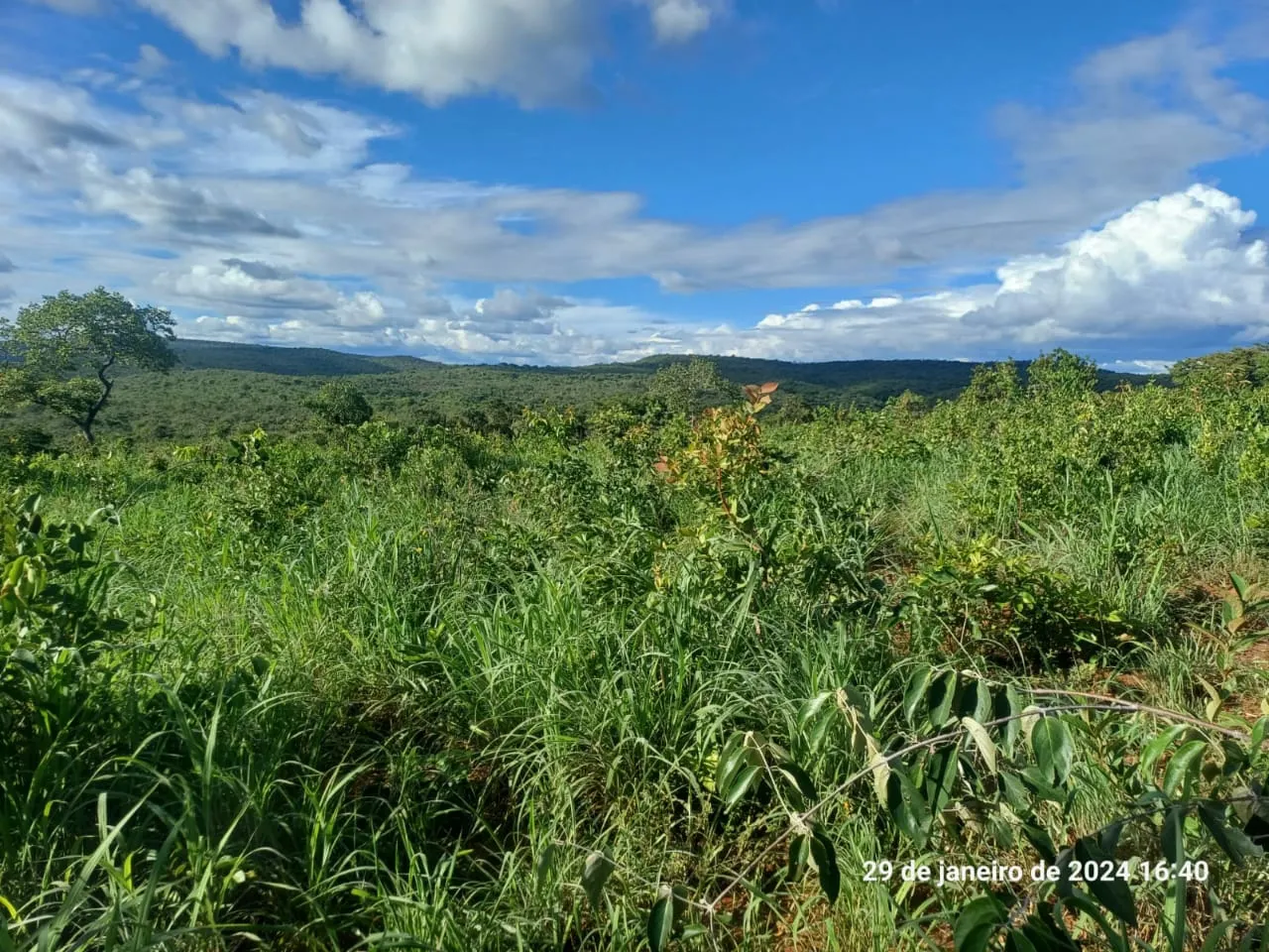 Fazenda à venda de 376 ha em Salinas, MG, Brasil