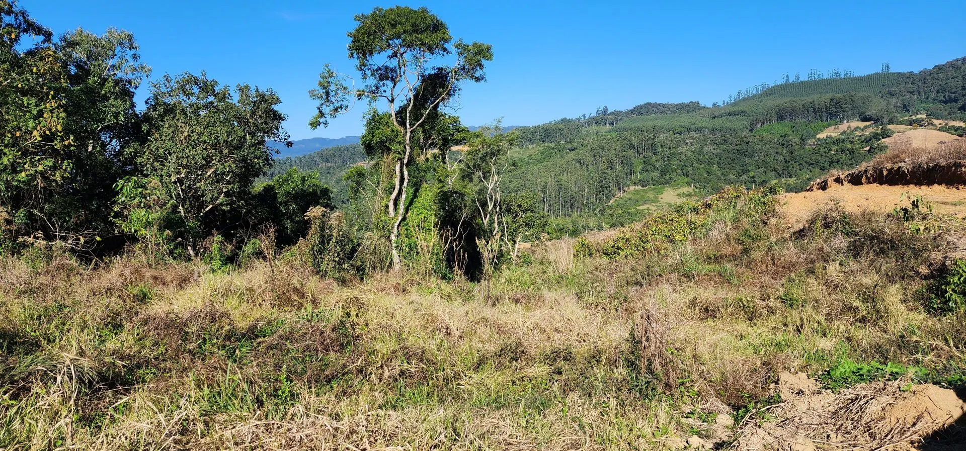 Terreno à venda de 2 ha em Presidente Nereu, SC, Brasil