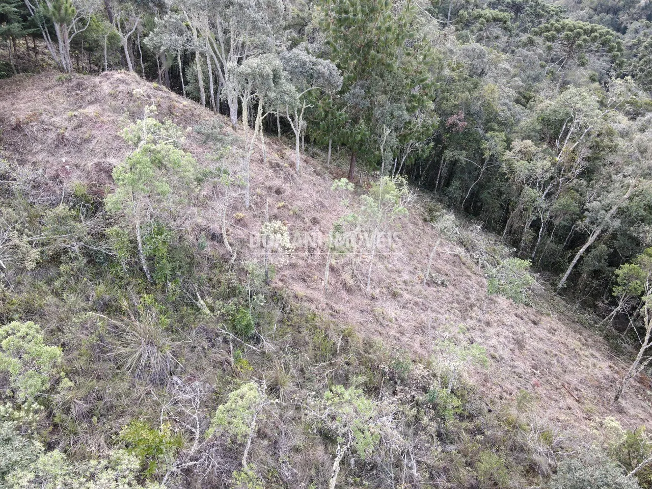 Terreno à venda de 1.380 m² em Campos do Jordão, SP, Brasil