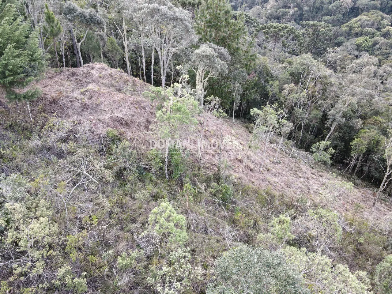 Terreno à venda de 1.380 m² em Campos do Jordão, SP, Brasil