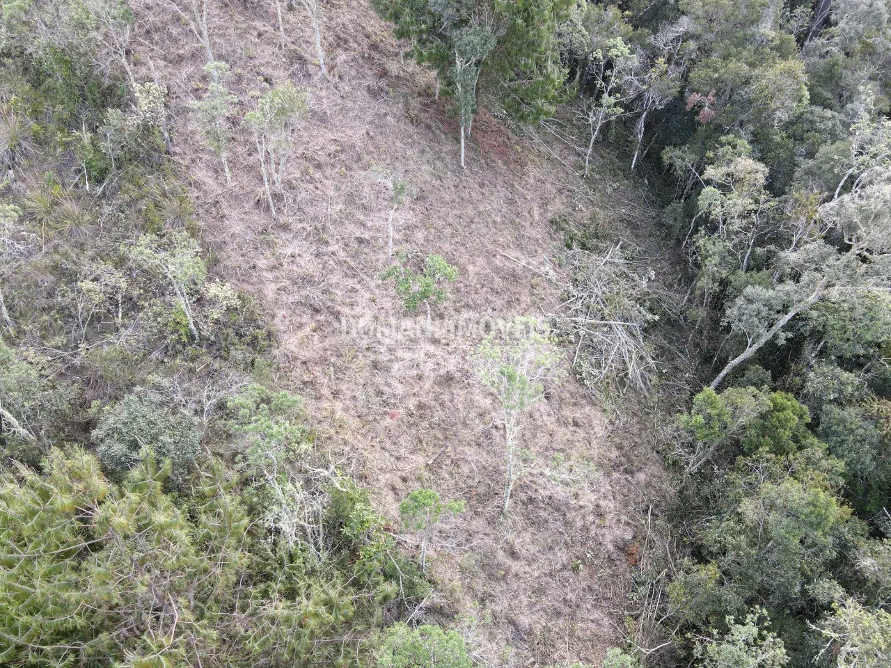 Terreno à venda de 1.380 m² em Campos do Jordão, SP, Brasil