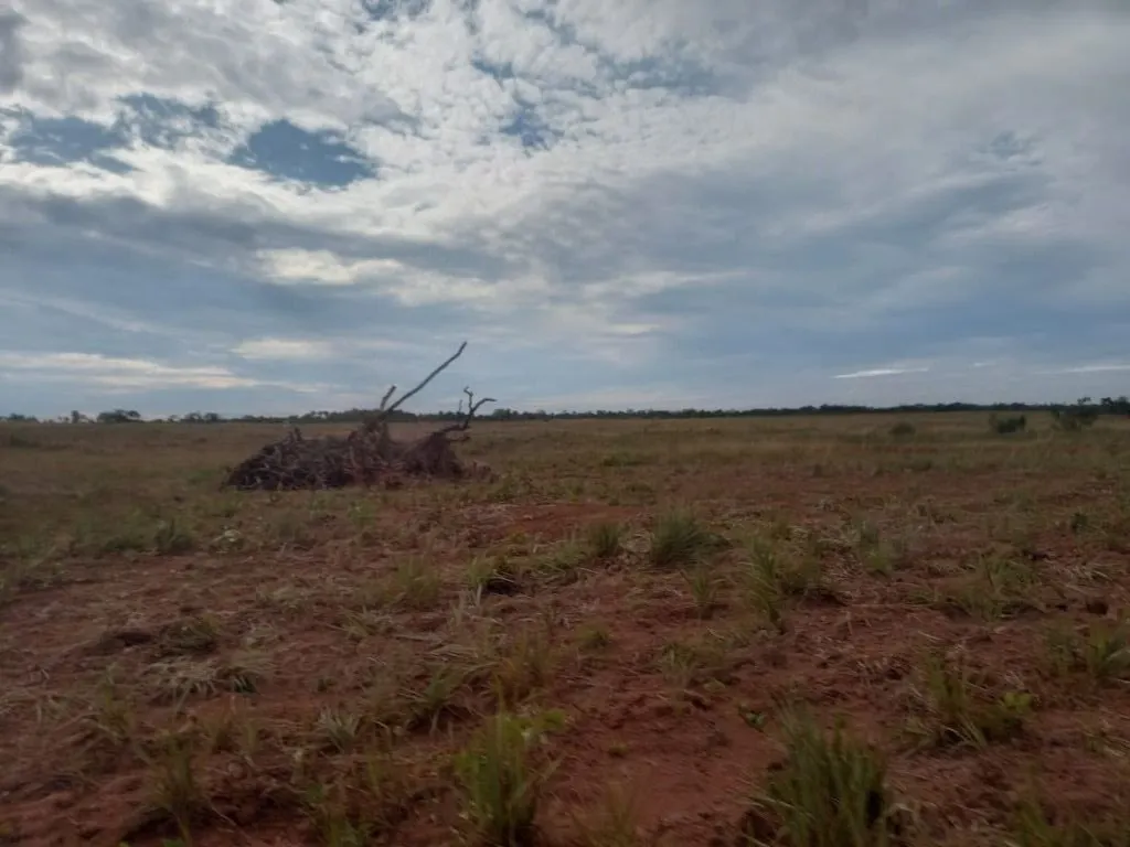 Fazenda à venda de 1.100 ha em Planalto da Serra, MT, Brasil