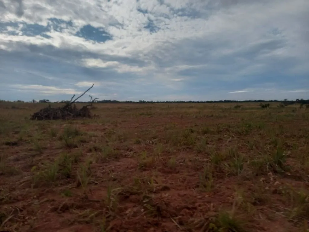 Fazenda à venda de 1.100 ha em Planalto da Serra, MT, Brasil