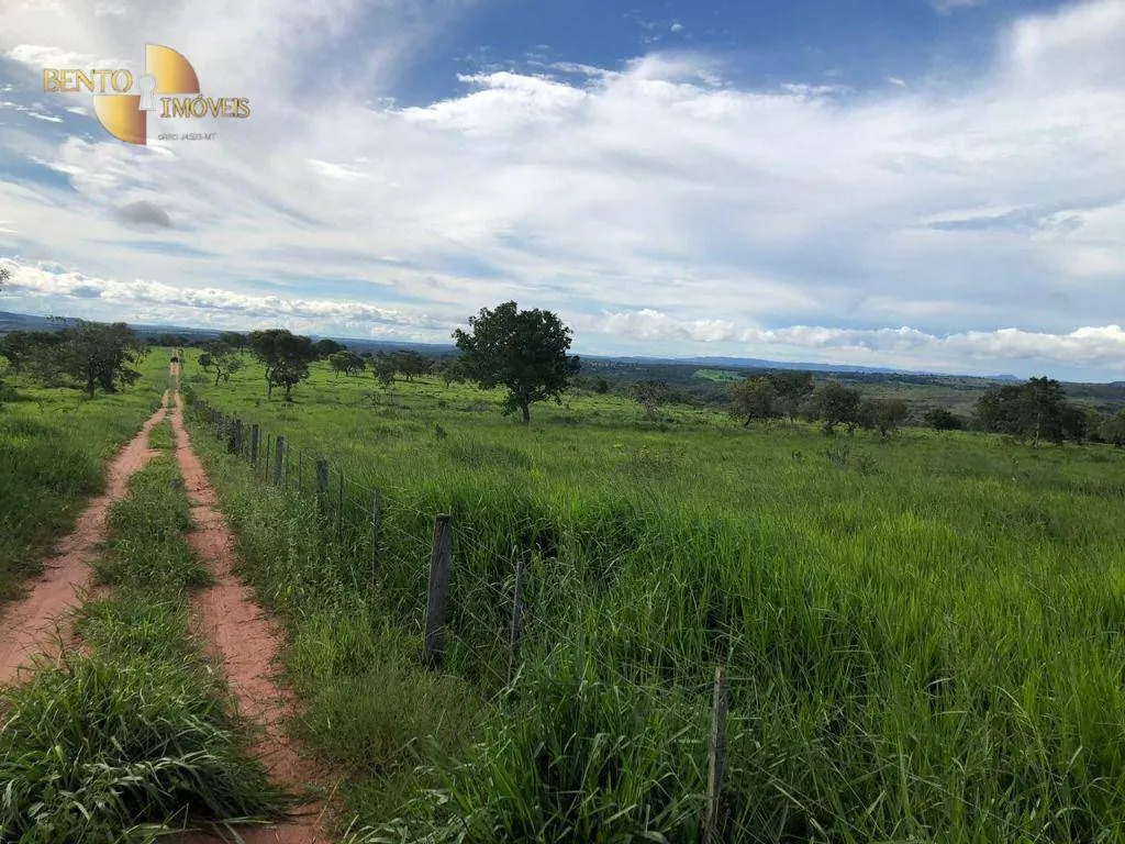 Fazenda à venda de 1.063 ha em Guiratinga, MT, Brasil
