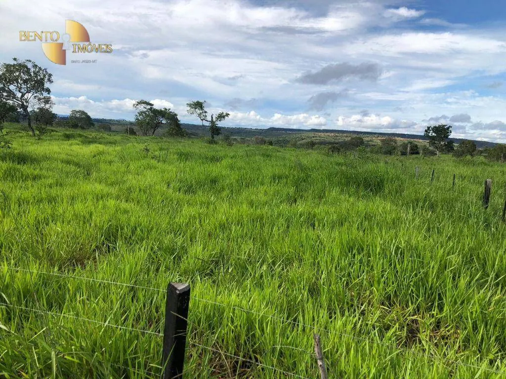 Fazenda à venda de 1.063 ha em Guiratinga, MT, Brasil