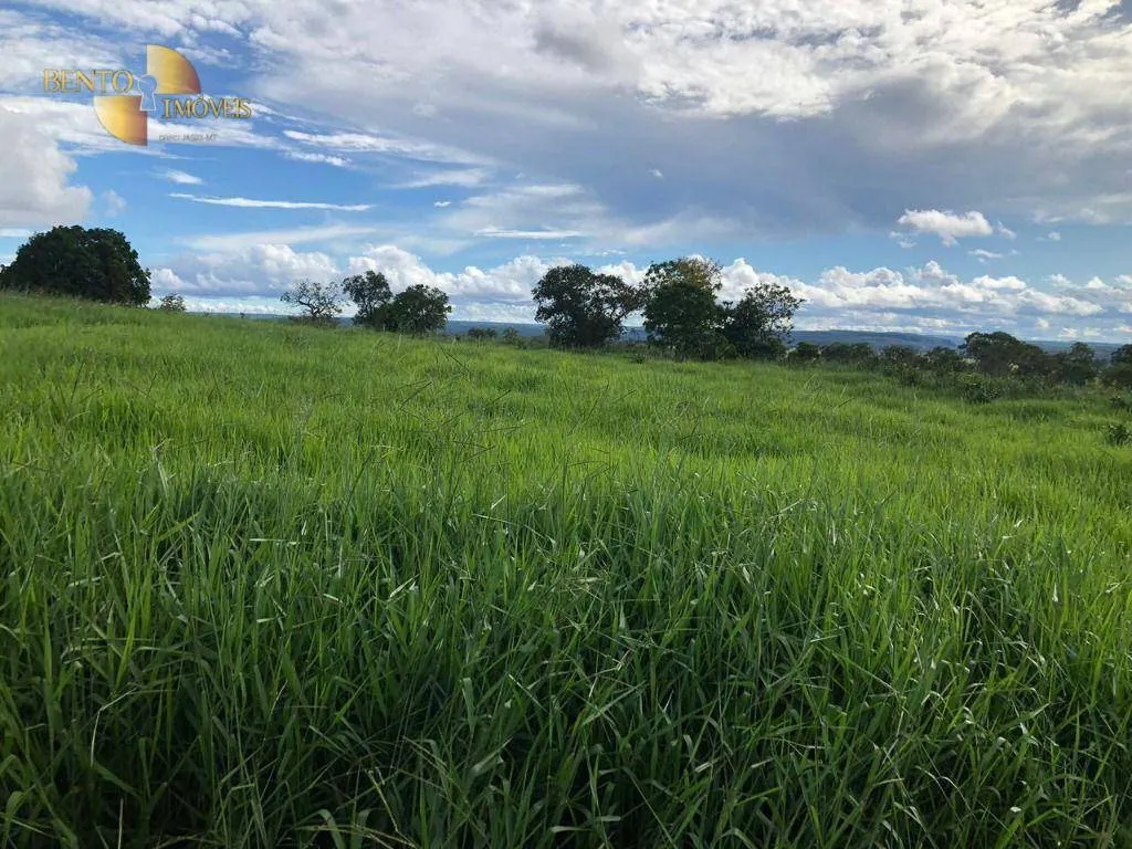 Fazenda à venda de 1.063 ha em Guiratinga, MT, Brasil