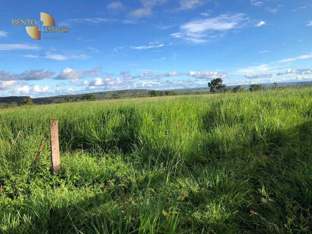 Fazenda à venda de 1.063 ha em Guiratinga, MT, Brasil
