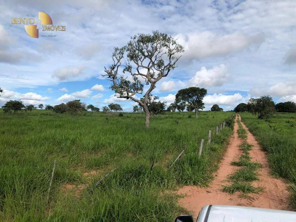 Fazenda à venda de 1.063 ha em Guiratinga, MT, Brasil