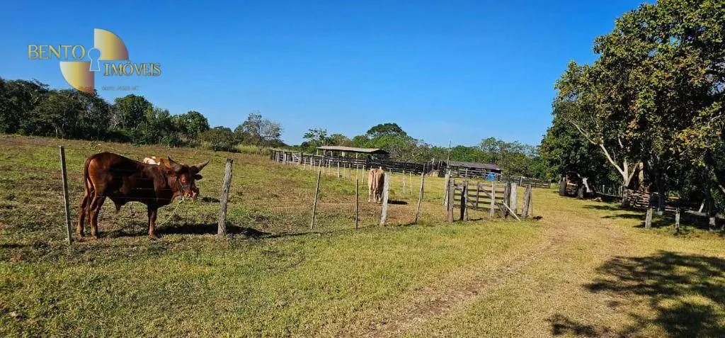 Fazenda à venda de 2.770 ha em Rosário Oeste, MT, Brasil