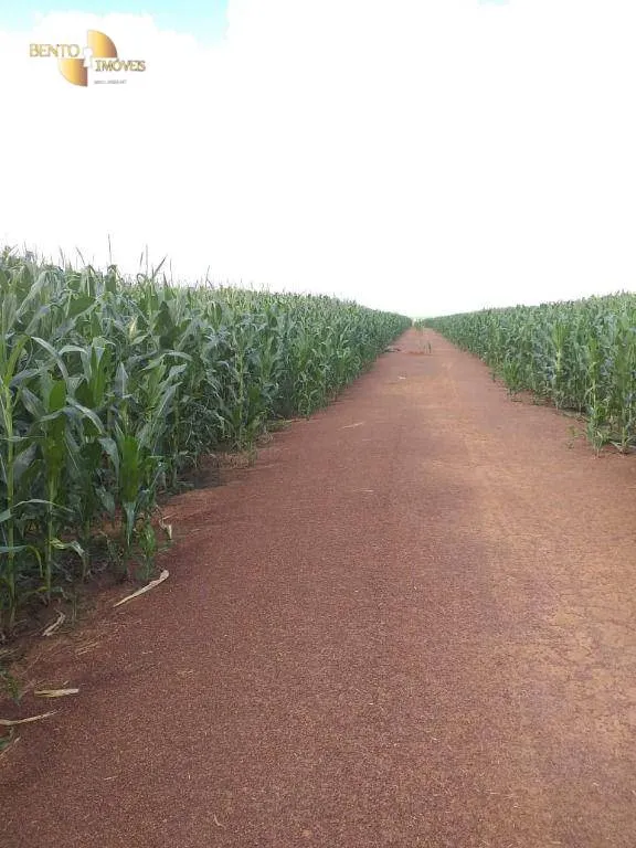 Farm for sale of 19,274 acres in Paranatinga, MT, Brazil