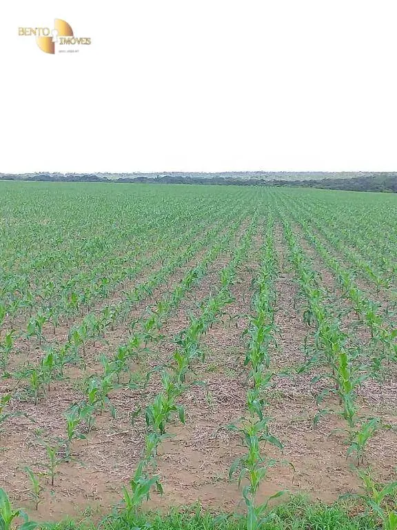 Farm for sale of 19,274 acres in Paranatinga, MT, Brazil