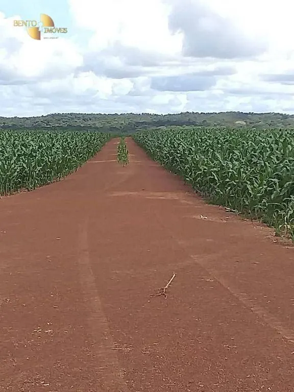Farm for sale of 19,274 acres in Paranatinga, MT, Brazil