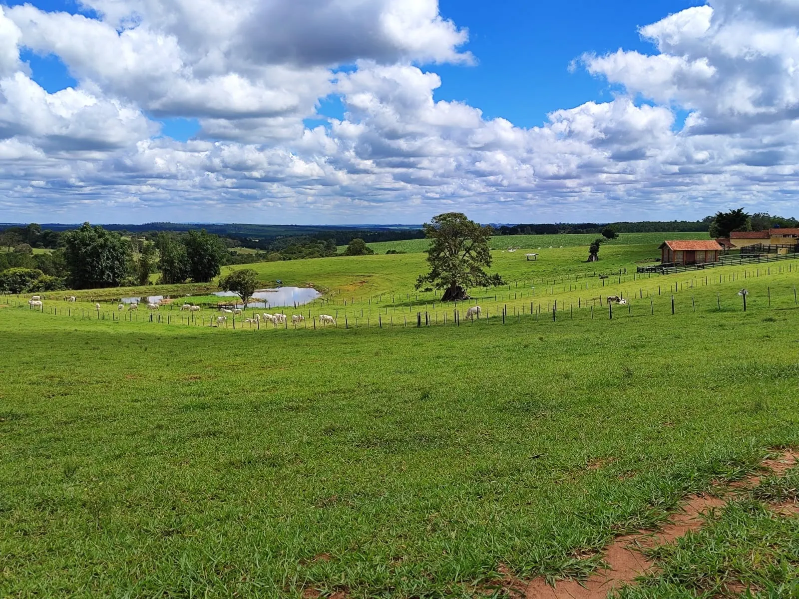 Sítio à venda de 94 ha em Itapetininga, SP, Brasil
