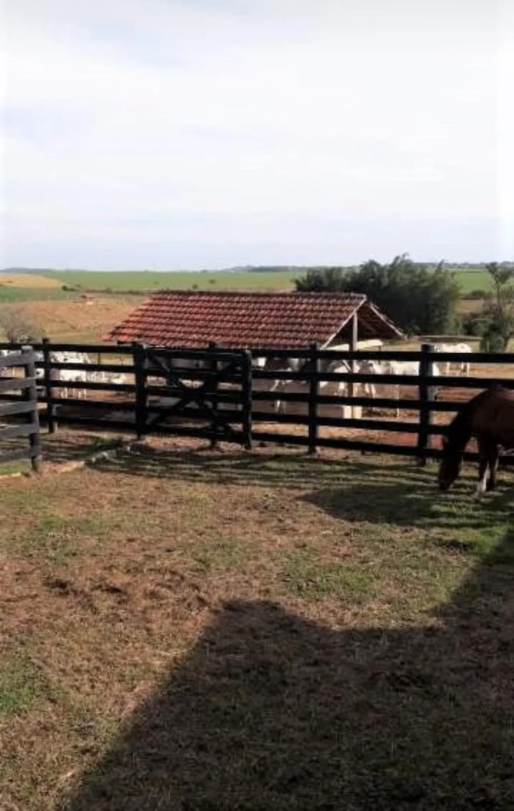 Sítio à venda de 94 ha em Itapetininga, SP, Brasil