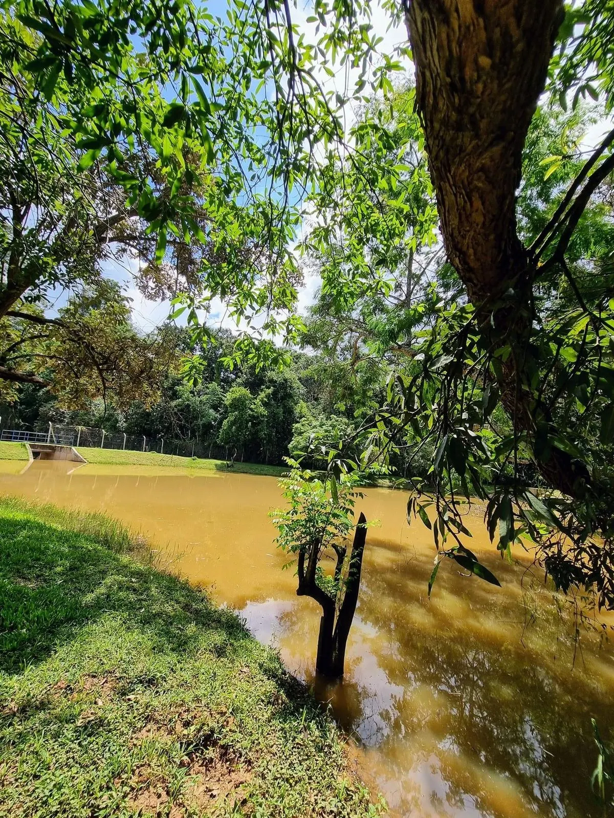 Chácara à venda de 4.375 m² em Boituva, SP, Brasil