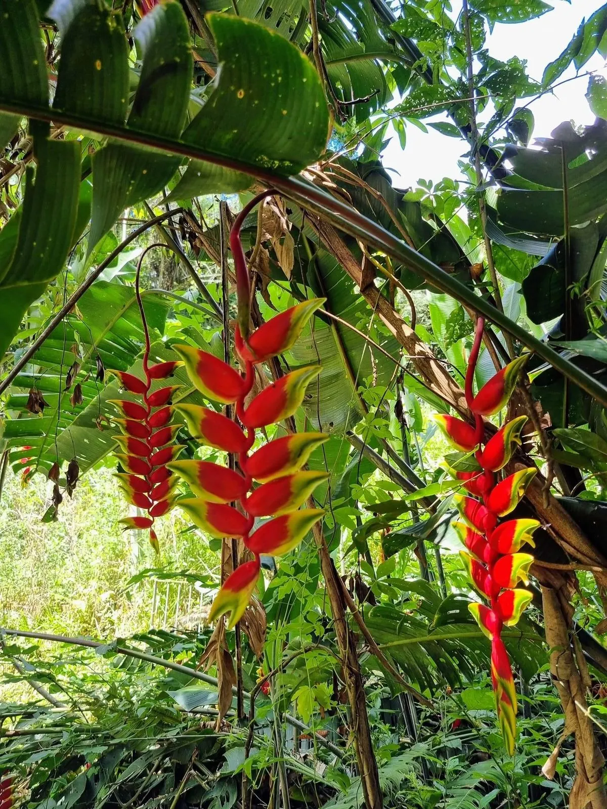 Chácara à venda de 4.375 m² em Boituva, SP, Brasil