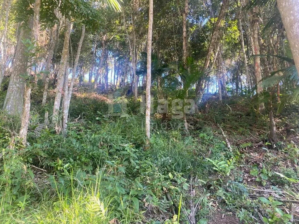 Farm for sale of 4 acres in Canelinha, SC, Brazil