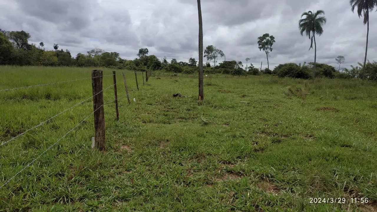 Chácara à venda de 2 ha em Votuporanga, SP, Brasil