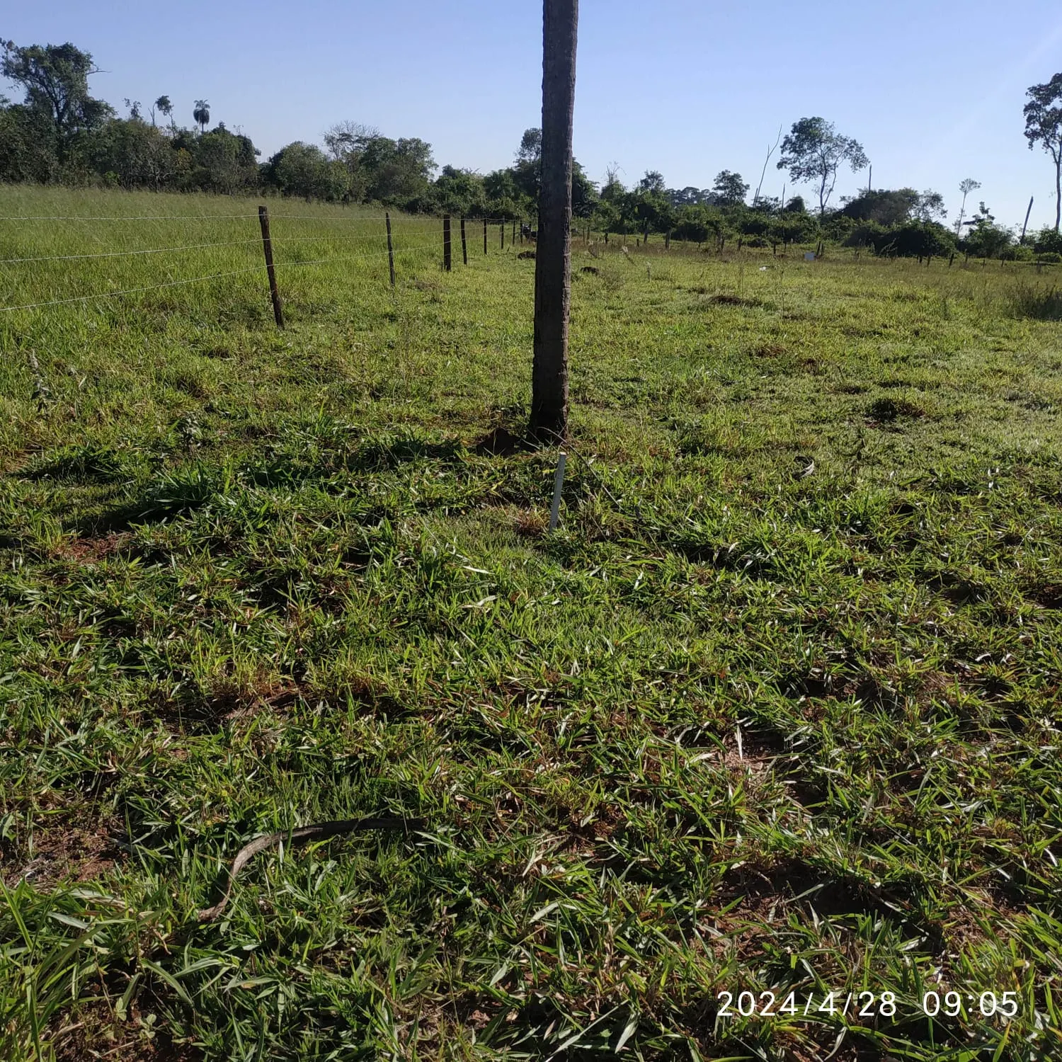Chácara à venda de 2 ha em Votuporanga, SP, Brasil