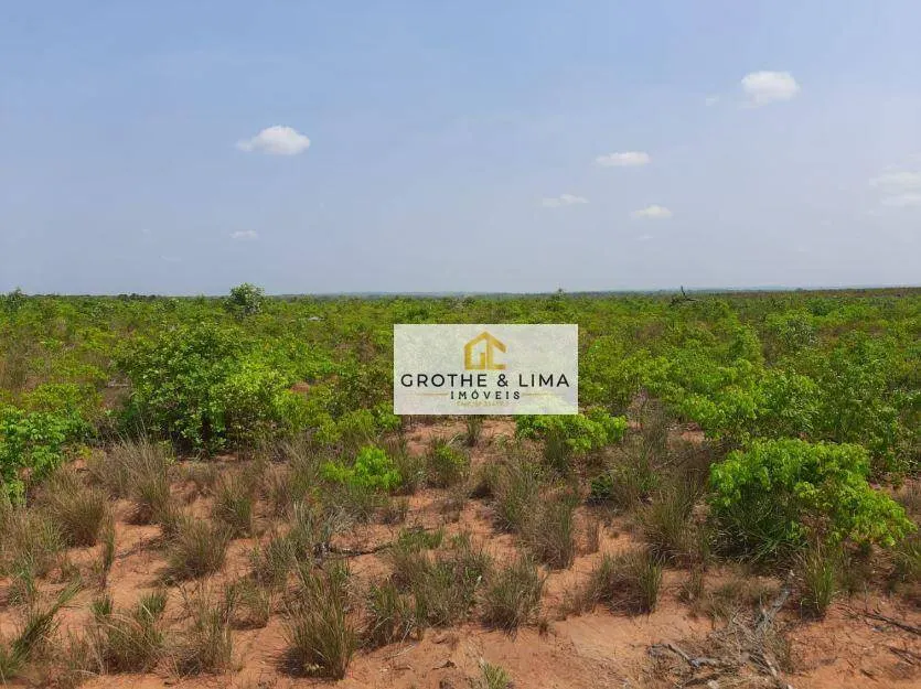 Farm for sale of 11,960 acres in Araguaína, TO, Brazil
