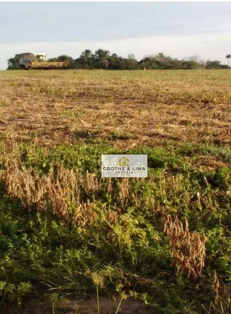Farm for sale of 11,960 acres in Araguaína, TO, Brazil