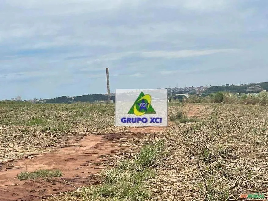 Fazenda à venda de 143 ha em Limeira, SP, Brasil