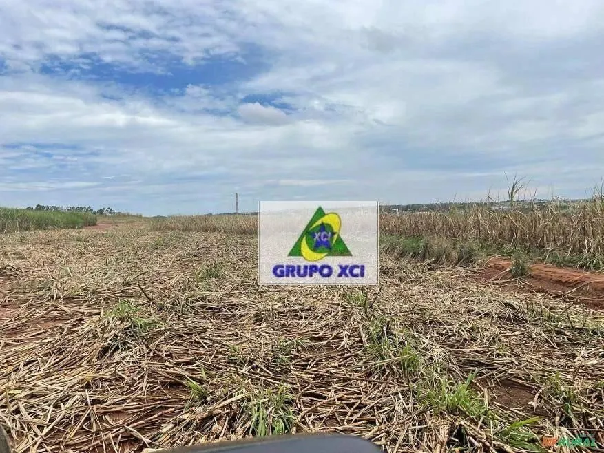 Fazenda à venda de 143 ha em Limeira, SP, Brasil