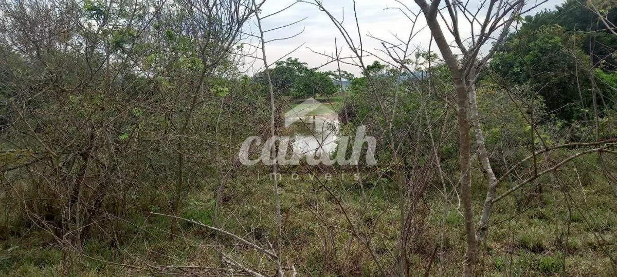 Sítio à venda de 15 ha em Cajuru, SP, Brasil