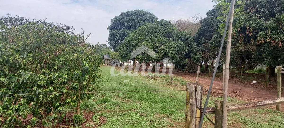 Sítio à venda de 15 ha em Cajuru, SP, Brasil
