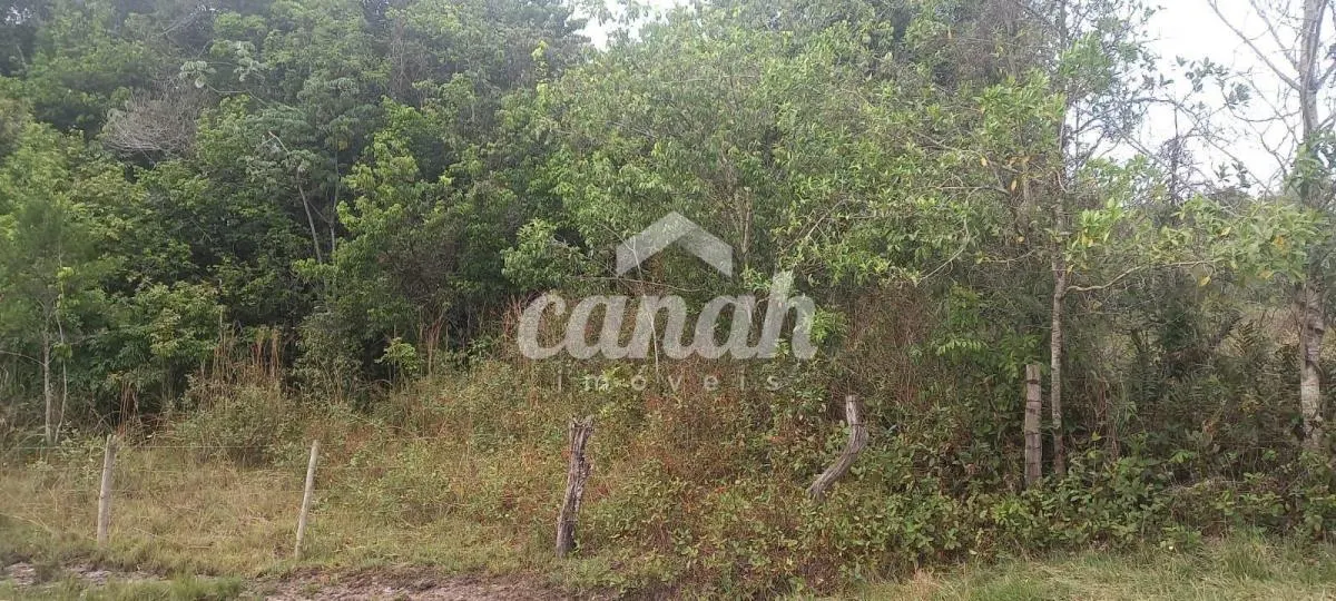 Sítio à venda de 15 ha em Cajuru, SP, Brasil