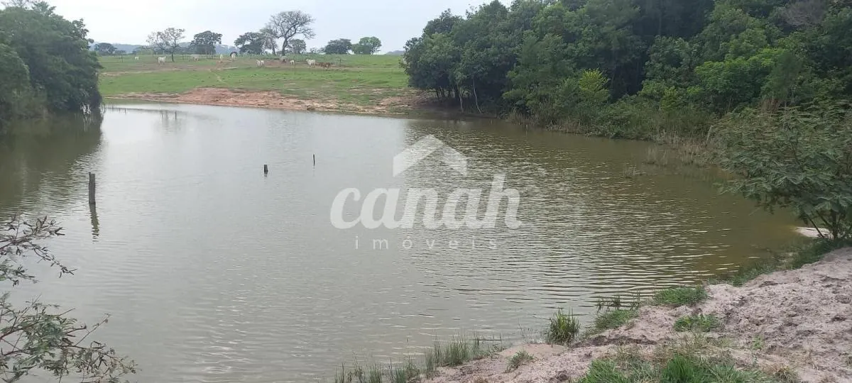 Sítio à venda de 15 ha em Cajuru, SP, Brasil