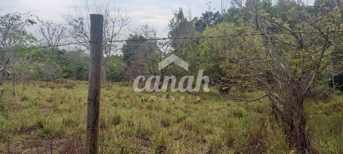 Sítio à venda de 15 ha em Cajuru, SP, Brasil