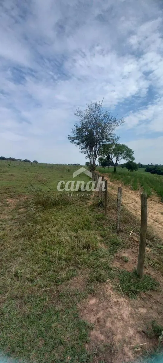 Sítio à venda de 15 ha em Cajuru, SP, Brasil