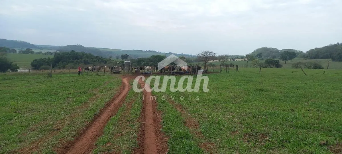 Sítio à venda de 15 ha em Cajuru, SP, Brasil