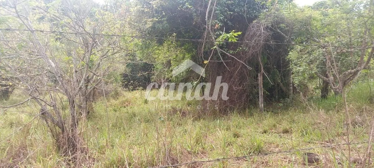 Sítio à venda de 15 ha em Cajuru, SP, Brasil