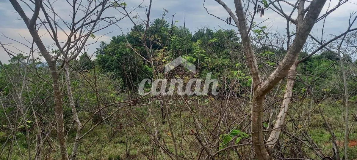Sítio à venda de 15 ha em Cajuru, SP, Brasil