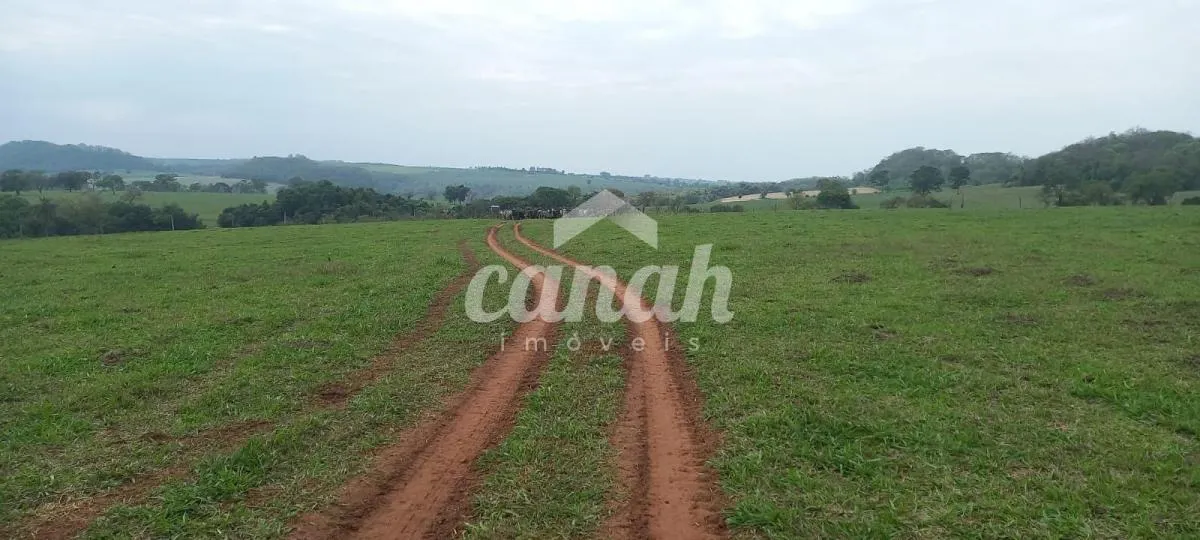 Sítio à venda de 15 ha em Cajuru, SP, Brasil