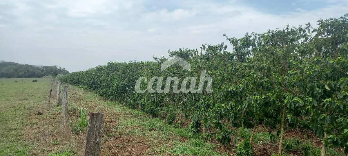 Sítio à venda de 15 ha em Cajuru, SP, Brasil