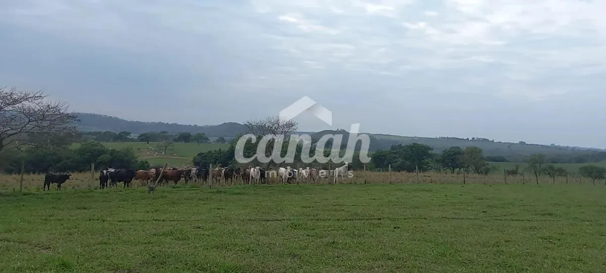 Sítio à venda de 15 ha em Cajuru, SP, Brasil