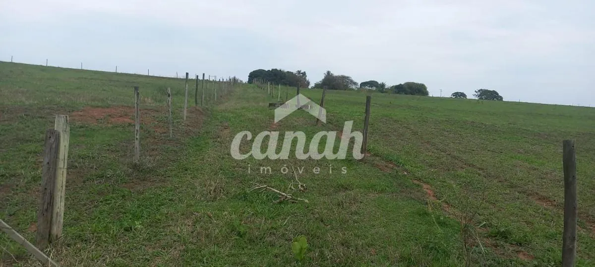Sítio à venda de 15 ha em Cajuru, SP, Brasil