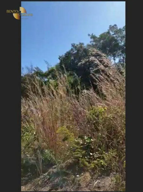 Fazenda à venda de 7.744 ha em Santa Maria das Barreiras, PA, Brasil