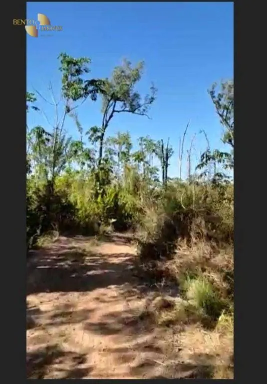 Fazenda à venda de 7.744 ha em Santa Maria das Barreiras, PA, Brasil