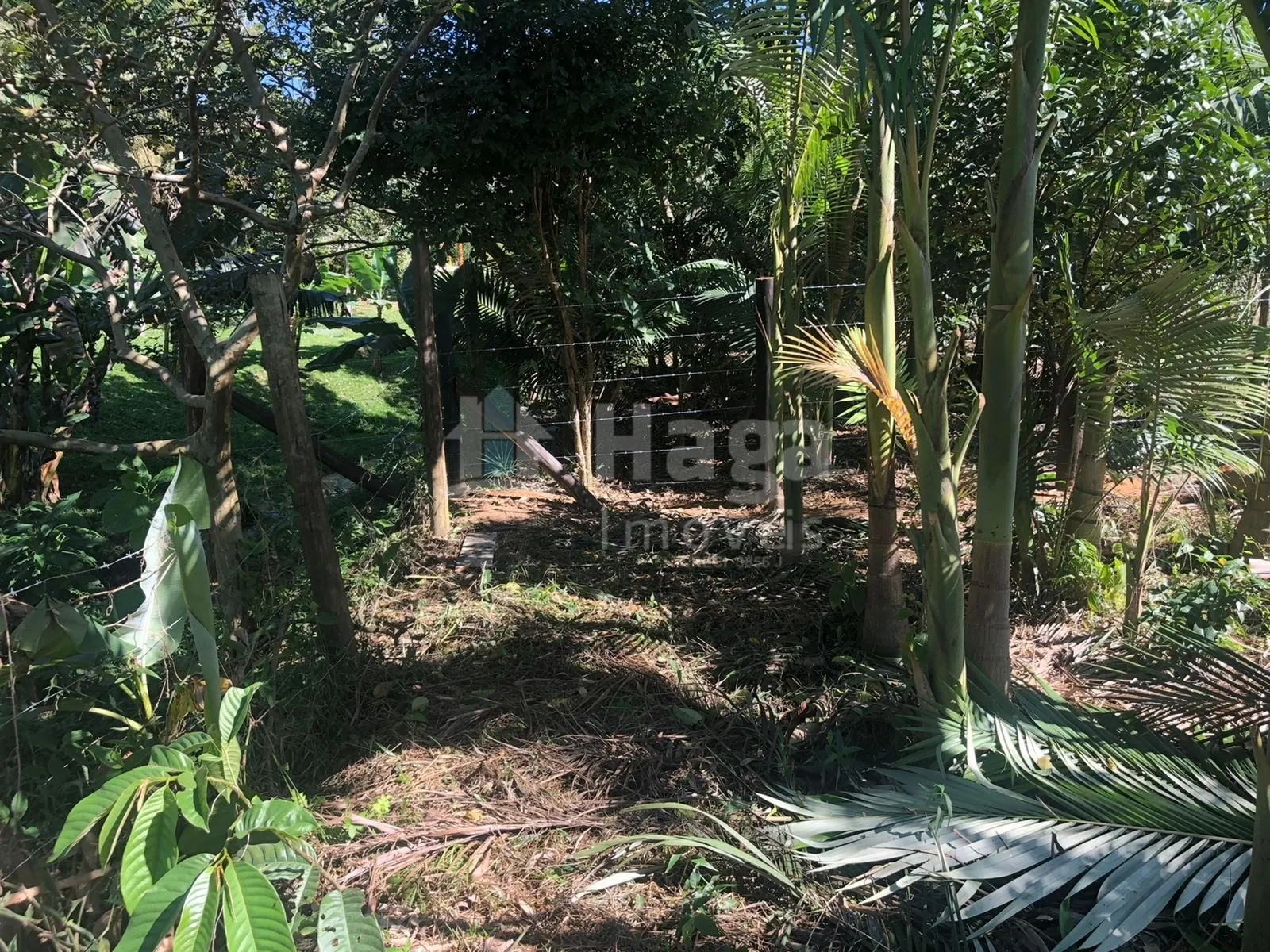 Plot for sale of 2,000 m² in Tijucas, SC, Brazil